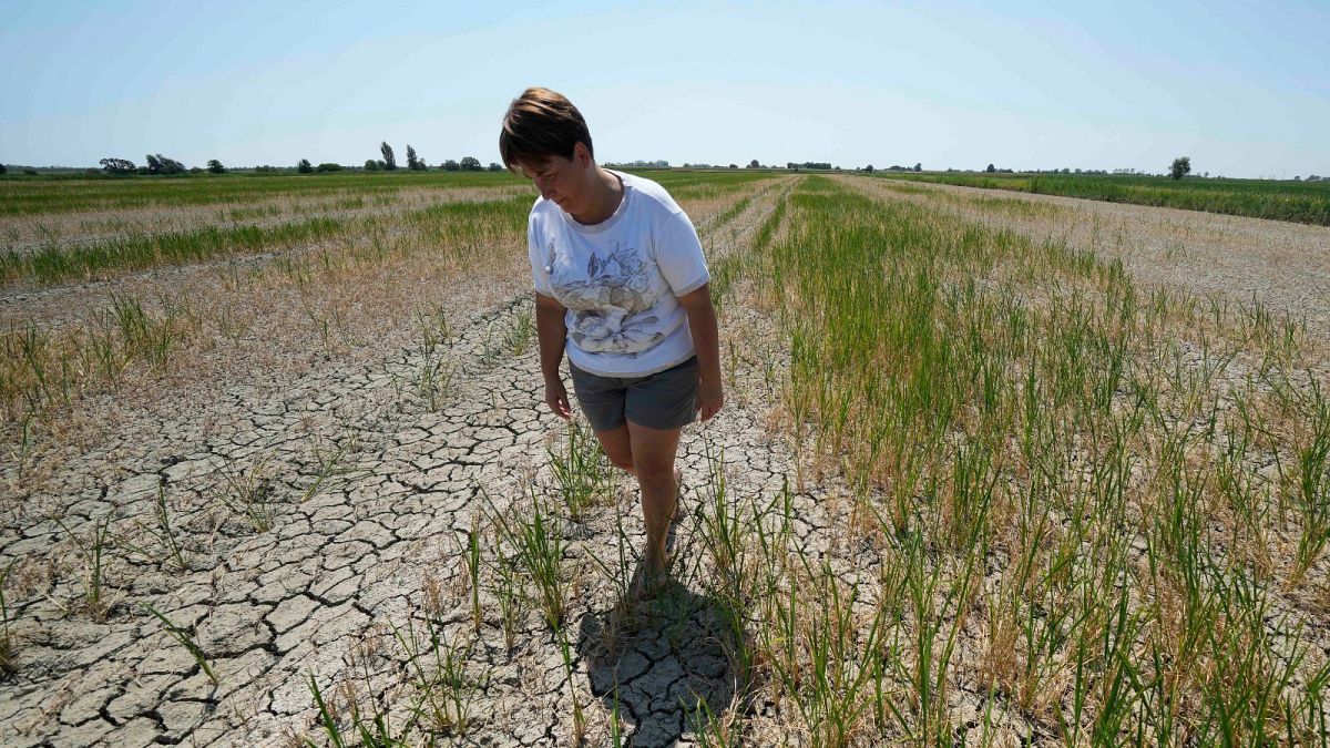 Climate change is coming for our incomes, study warns. Which countries will lose out the most? 