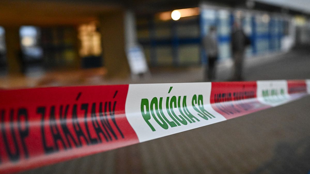 Fico's security detail failed &mdash; second bullet should have hit bodyguard, expert explains 