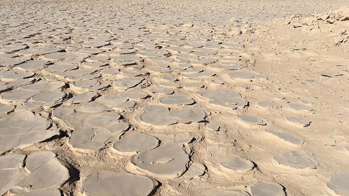 Scientists’ discovery under Atacama desert could help search for life on other planets