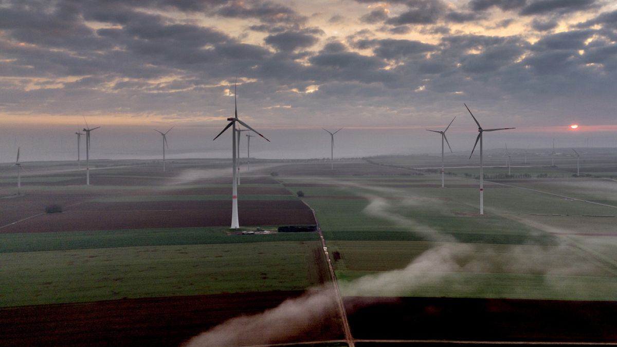Green groups welcome Commission caution on fast-track renewables deployment 