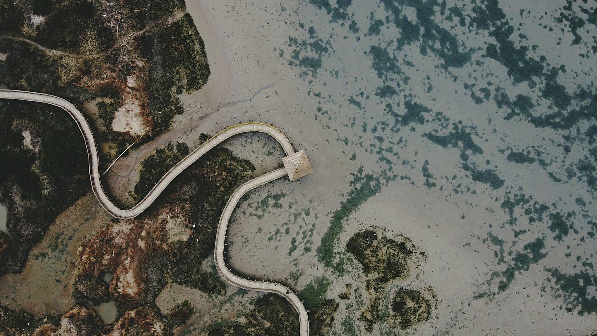 Italy&rsquo;s Po Delta is a nature-rich UNESCO reserve. Now it is at risk from offshore drilling 
