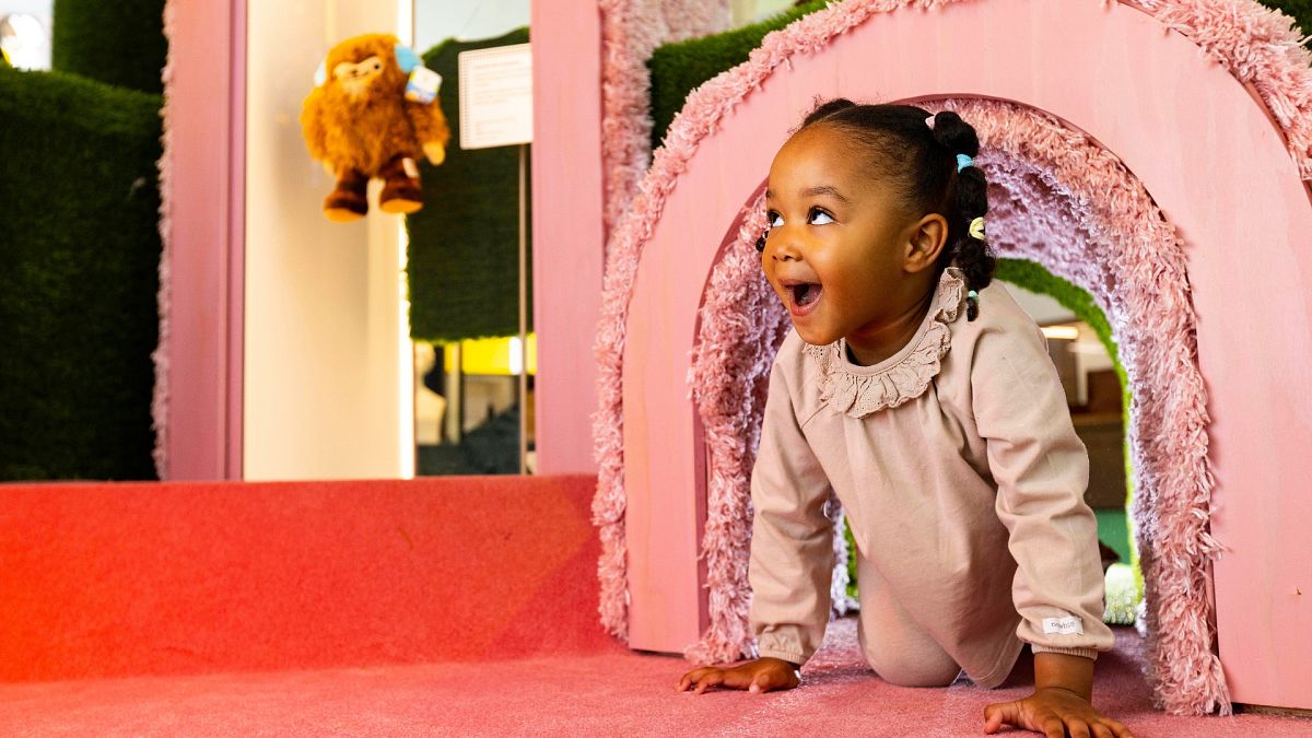 Major renovations lead nominations for UK Museum of the Year 2024 
