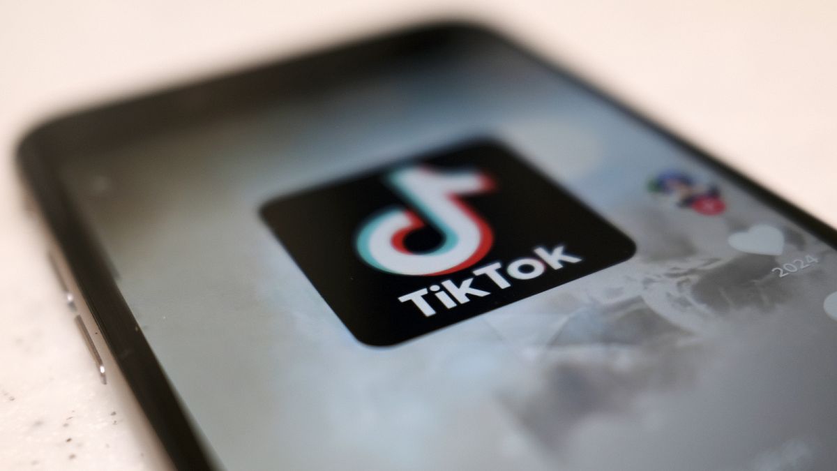 Кандидаты на выборах в ЕС переходят на TikTok в попытке повлиять на молодых избирателей 