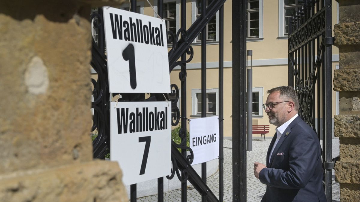 Far-right AfD makes gains but fails to win outright in local elections