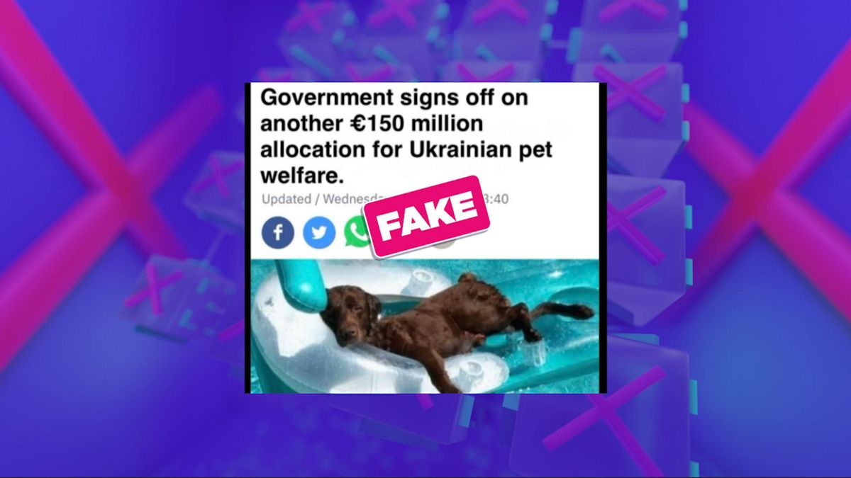 No, this RT&Eacute; headline on Irish funds for Ukrainian pets isn&rsquo;t real 