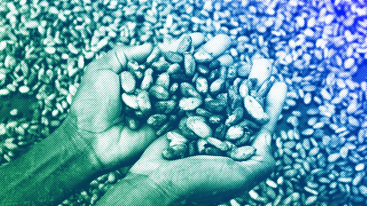 I am a cocoa farmer. When I say we need training and investment to thrive, take my word for it