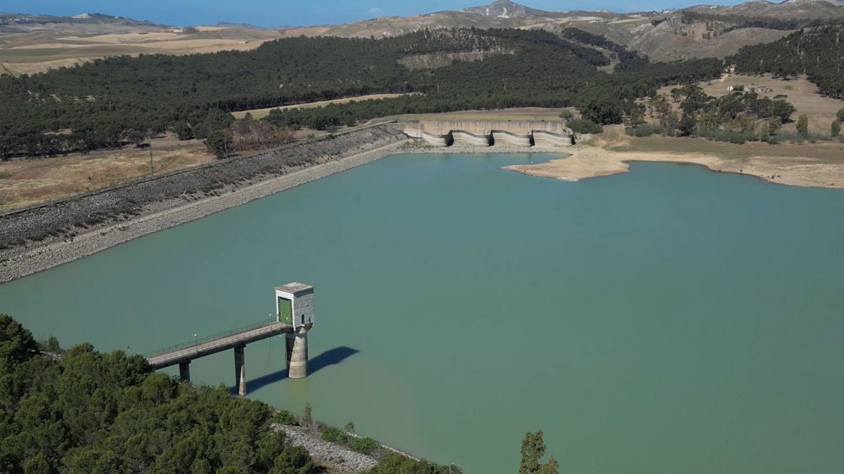 &lsquo;The impact is enormous&rsquo;: Farmers in Sicily struggle to survive amid worst drought in 30 years 