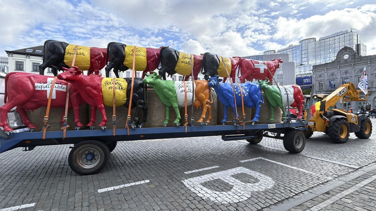 Dairy farmers protest in Brussels over low price of milk 