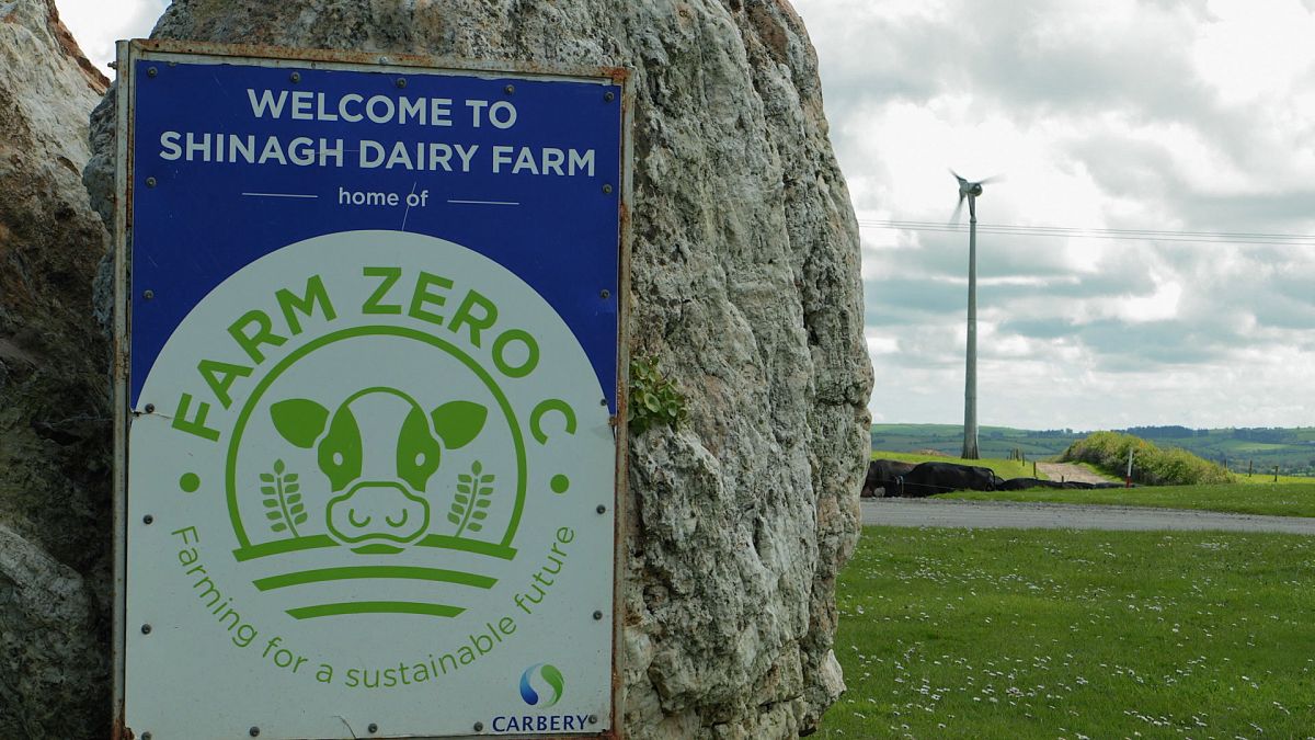 Проект Farm Zero C намерен создать климатически нейтральную прибыльную молочную ферму &ndash; это реально? 