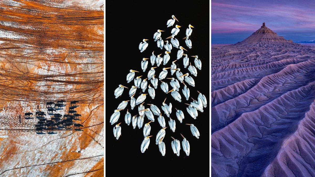 Snug polar bears and lava dragons: Take a look at the jaw-dropping Drone Photo Awards 2024 finalists 