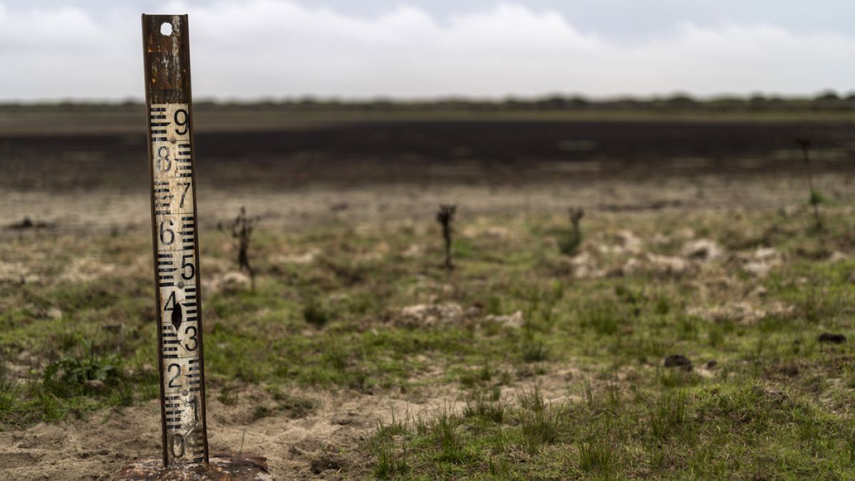 Nature Restoration Law gets green light after Austria flips 