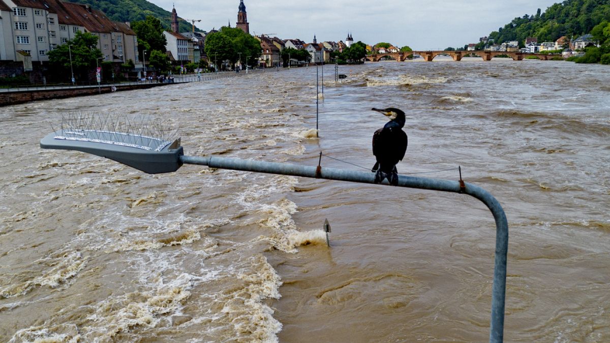 At least four dead in floods in southern Germany as situation remains critical 