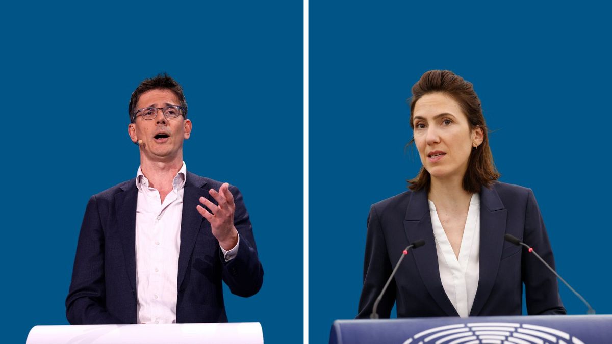 What went wrong for the EU election-losing Greens and Liberals?  