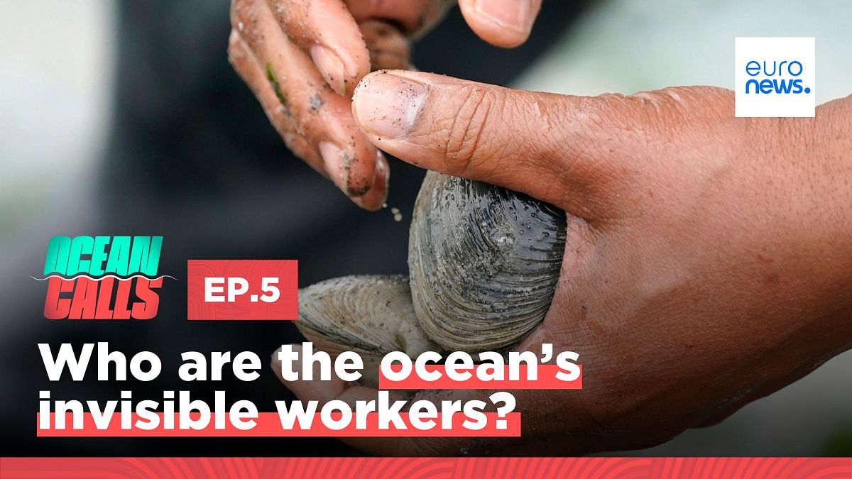The seldom-heard stories of the people who put the fish on your plate  