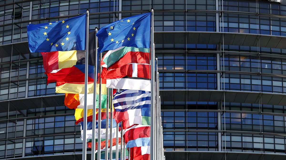 Everything you need to know: Your guide to the 2024 European elections 