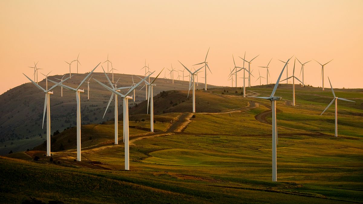 Clean energy: Portugal will begin building its largest wind farm early next year