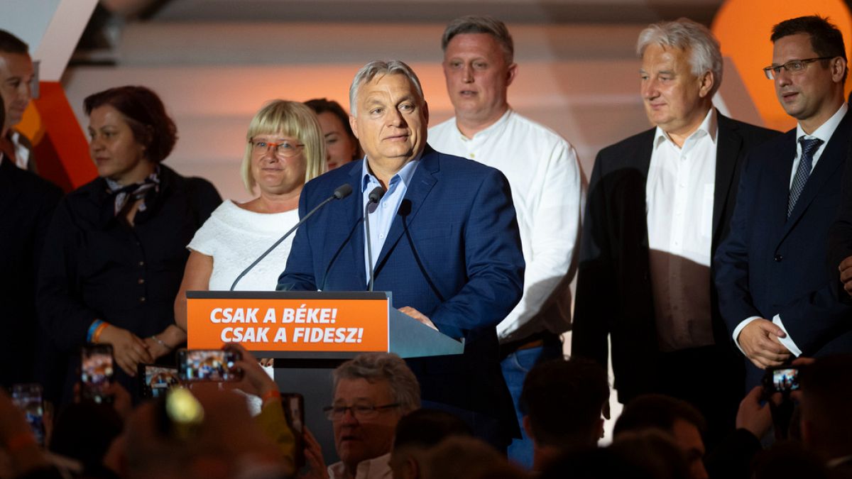 Hungary: Orban's right-wing party wins EU election but loses major support