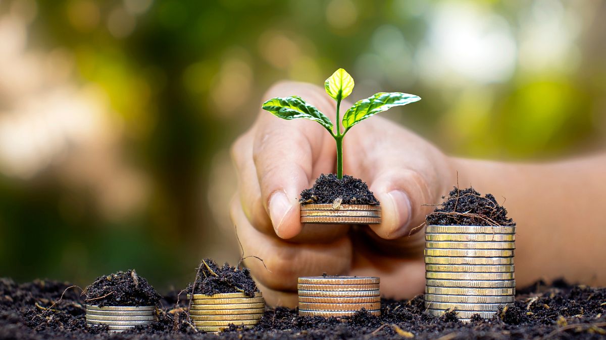 &lsquo;You can&rsquo;t be green if you&rsquo;re in the red&rsquo;: How can businesses be sustainable and hold bottom line? 