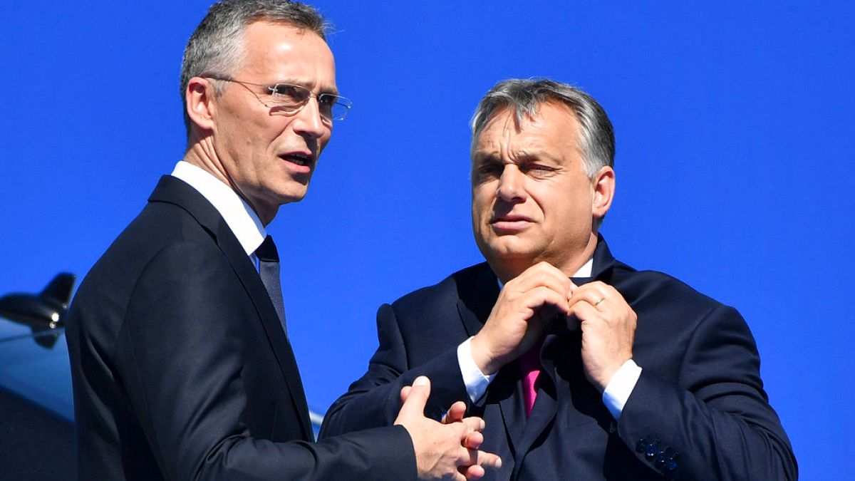 Венгрия и НАТО договорились по вопросу помощи Украине