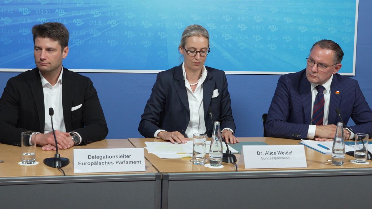 Germany's far-right AfD appoints new European Parliament delegation leader 