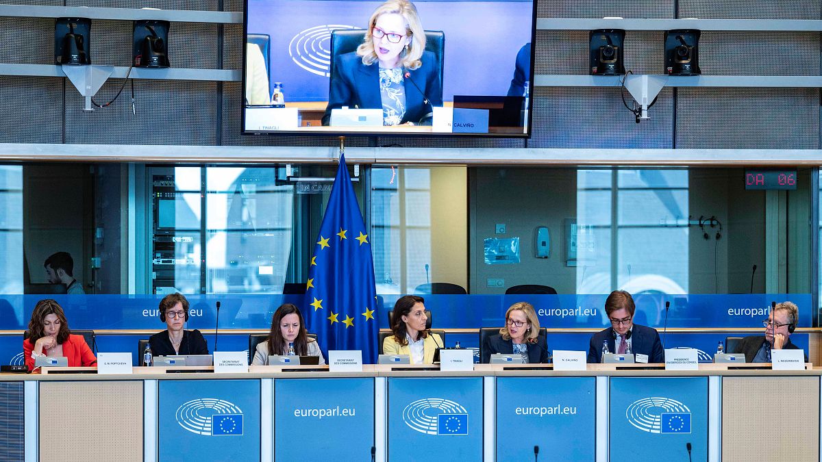 Election aftermath - MEPs to watch on economic and financial policy