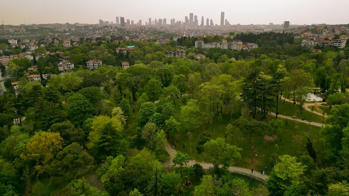 From gardens and forests to islands, İstanbul has plenty of spots to enjoy some greenery 