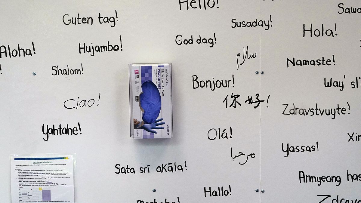 Meta expands AI translation to 200 languages but experts suggest talking to native speakers