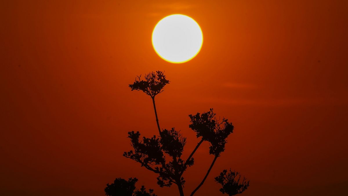 Global temperatures likely to surpass 1.5C limit by 2028, UN agency predicts