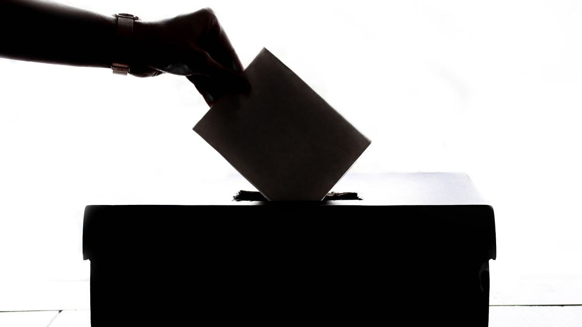 Russiagate to Portal Kombat: The foreign misinformation campaigns shifting the European elections  
