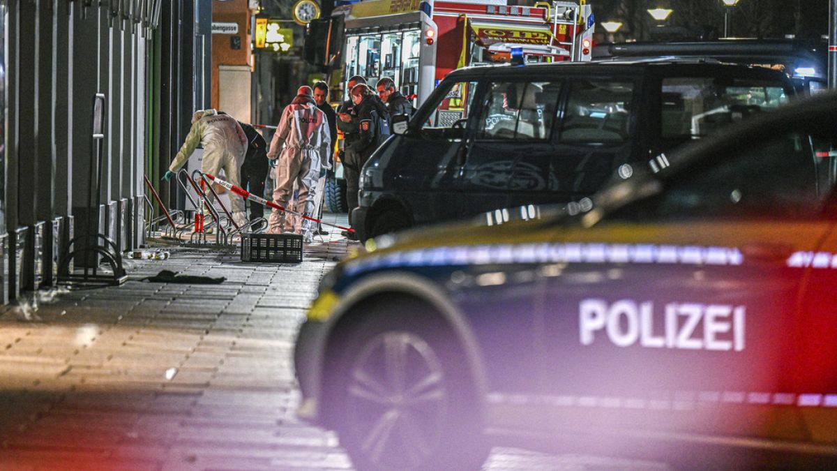 German police shoot dead man who stabbed three people at Euros party