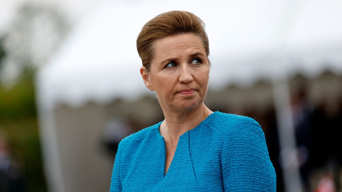 Danish Prime Minister suffers 'light whiplash' in assault on street 