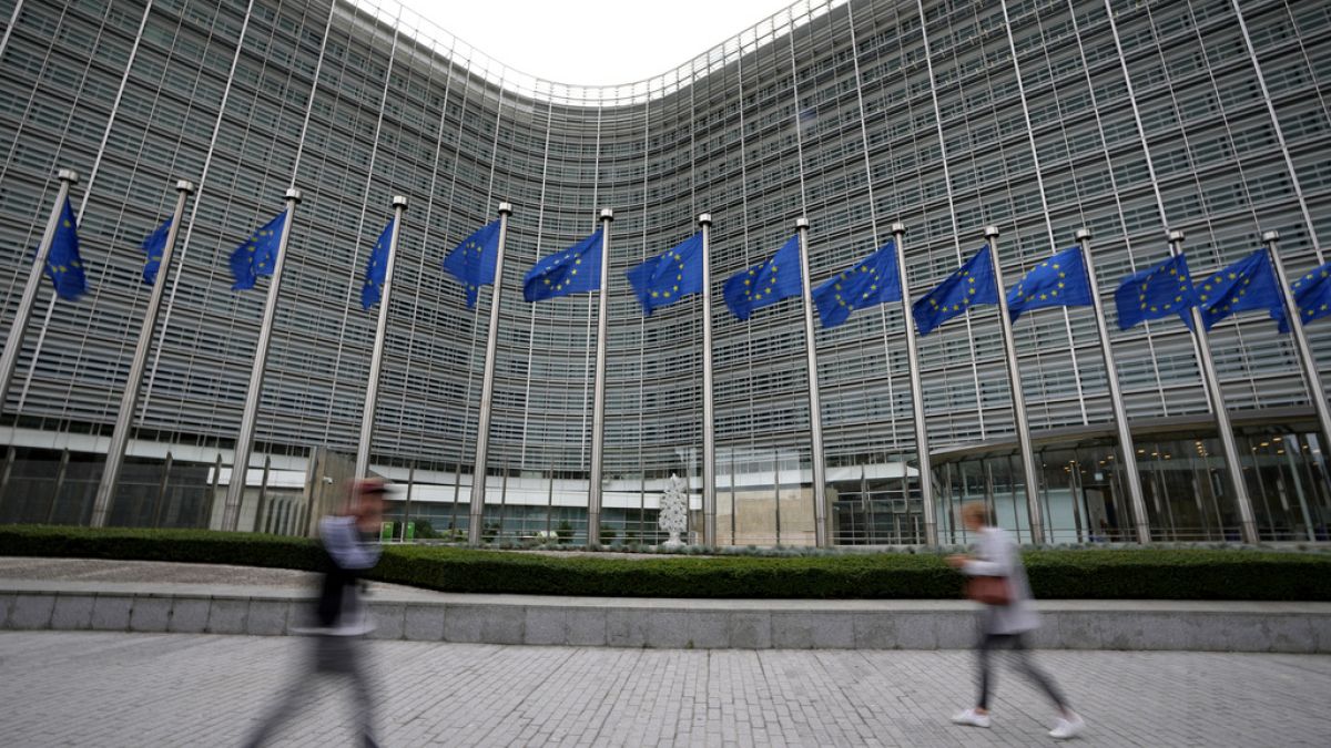 Economy, migration, climate change: Voters' main concerns ahead of elections