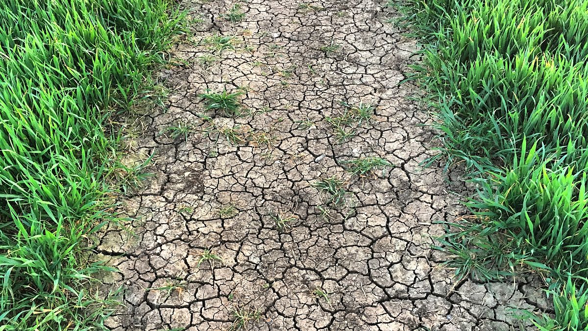 Ministers green light push for healthy soils, set low thresholds 
