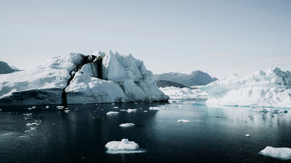 Arctic sea ice is declining at an alarming rate. A giant virus could stop that 