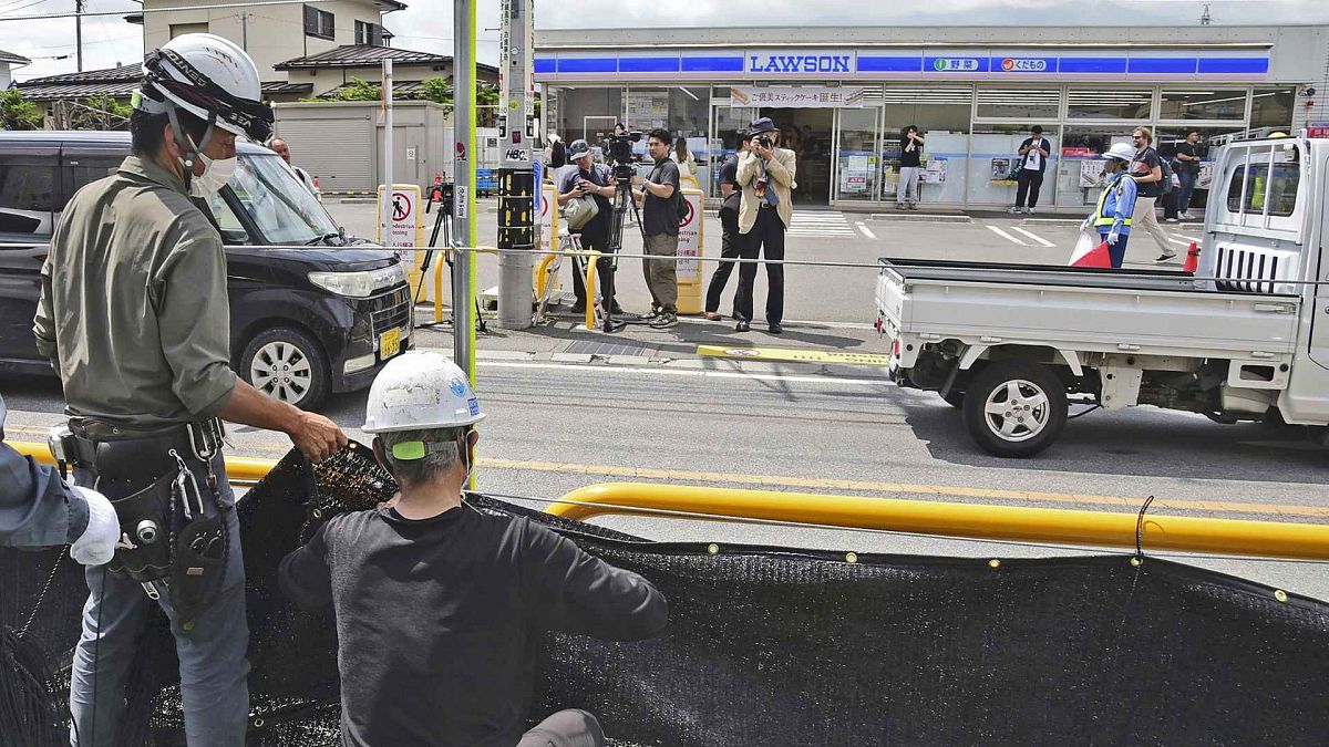 Mt. Fuji no more: Japanese town erects huge black screen to deter crowds of selfie-seeking tourists