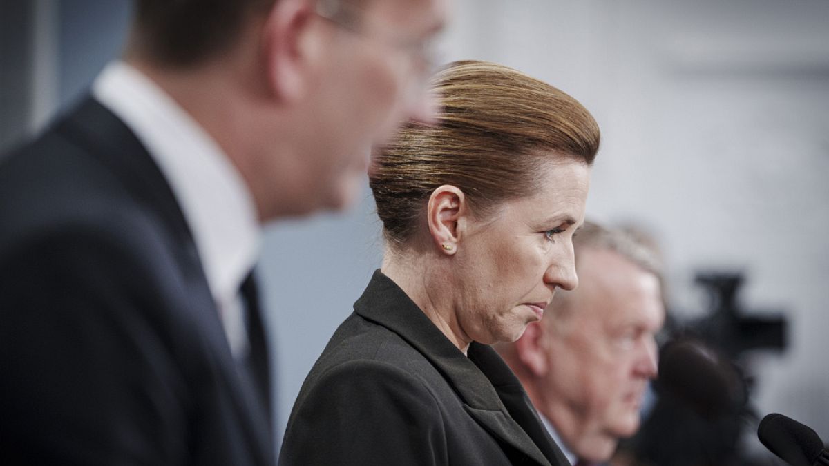 'I am not quite myself': Danish PM gives first interview after attack 