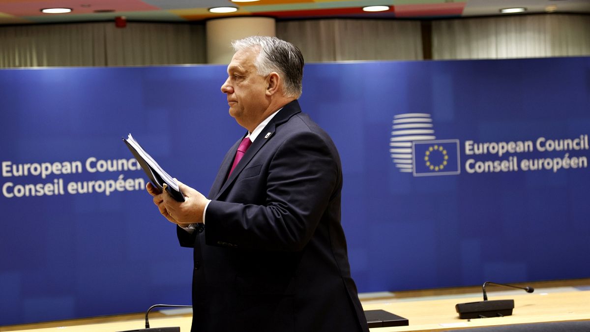 В программе страны-председателя Евросоюза не упомянута Украина 