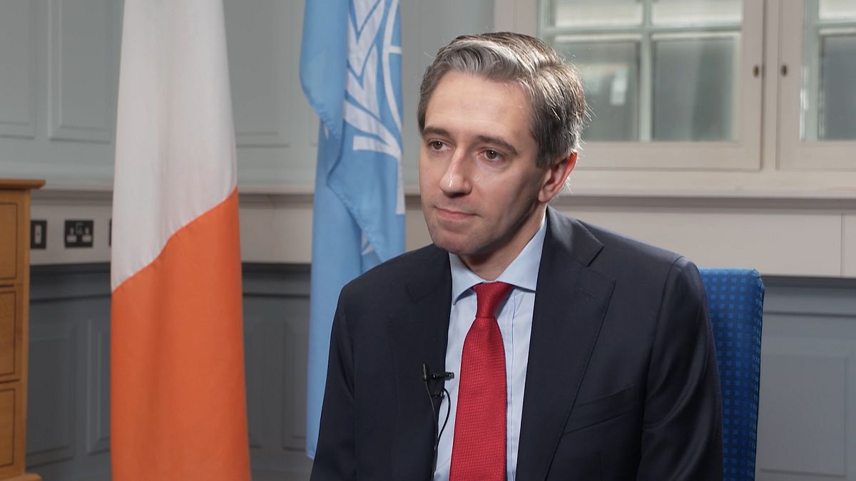 Саймон Харрис: "ХАМАС - не Палестина, мы видим разницу между ними" 