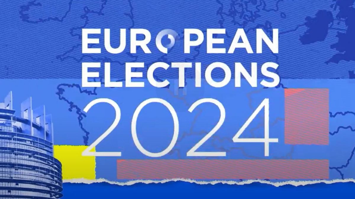 European elections: What do the voters want, what do the candidates promise? Bonus episode 