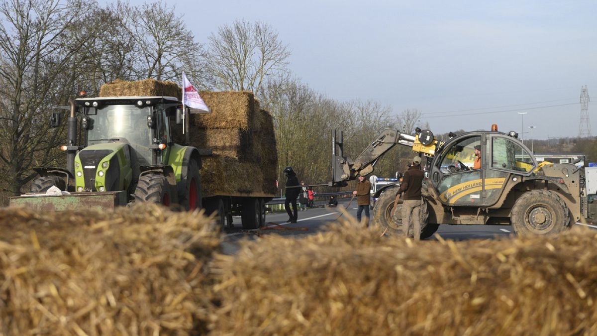 Heavy rainfall causes severe harvest impact and losses for French farmers 
