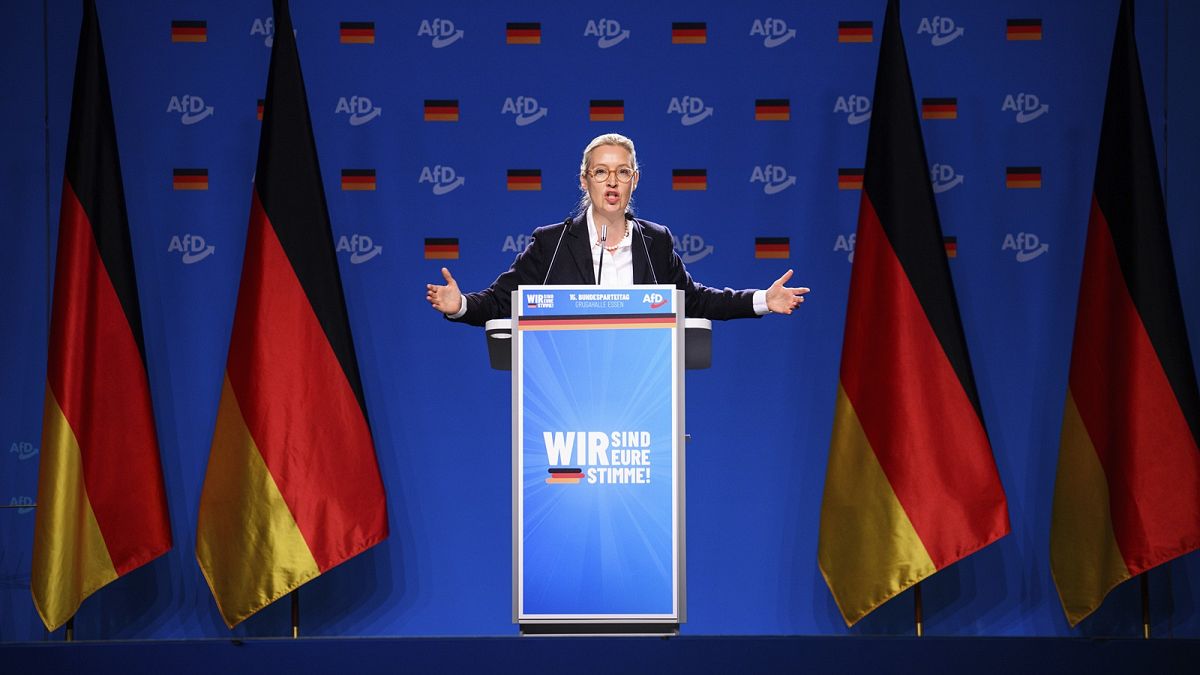 European Parliament could soon have a new far-right group, led by AfD 
