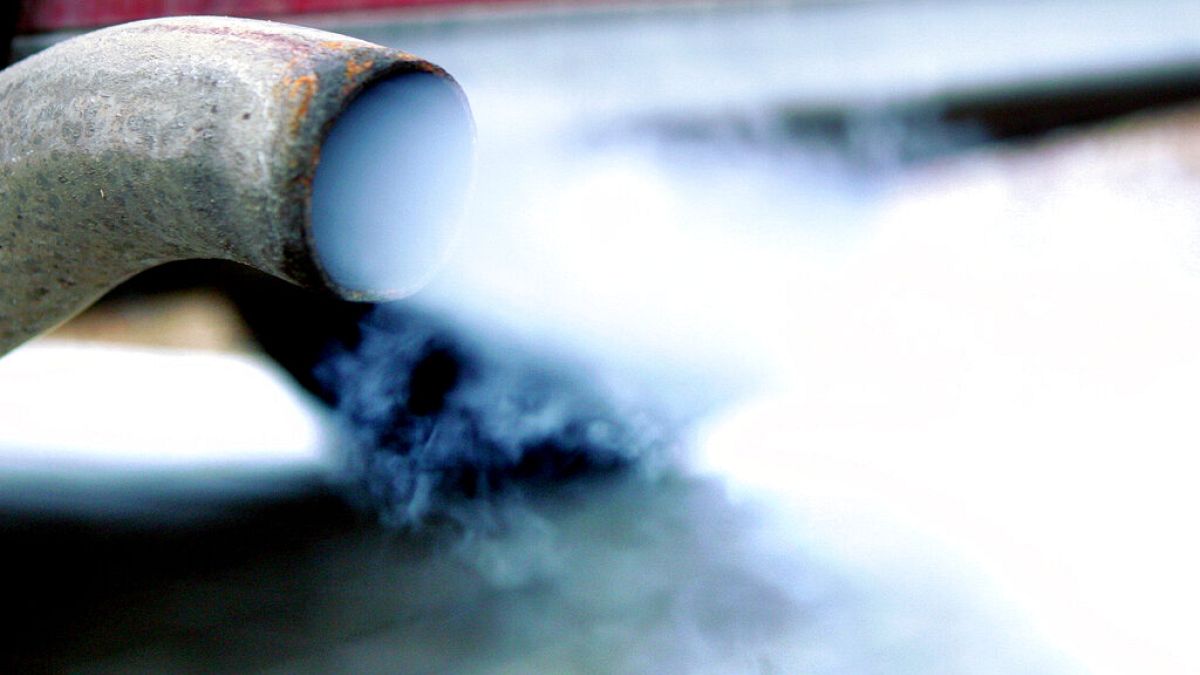 MEPs urged to not backtrack on 2035 petrol car ban 