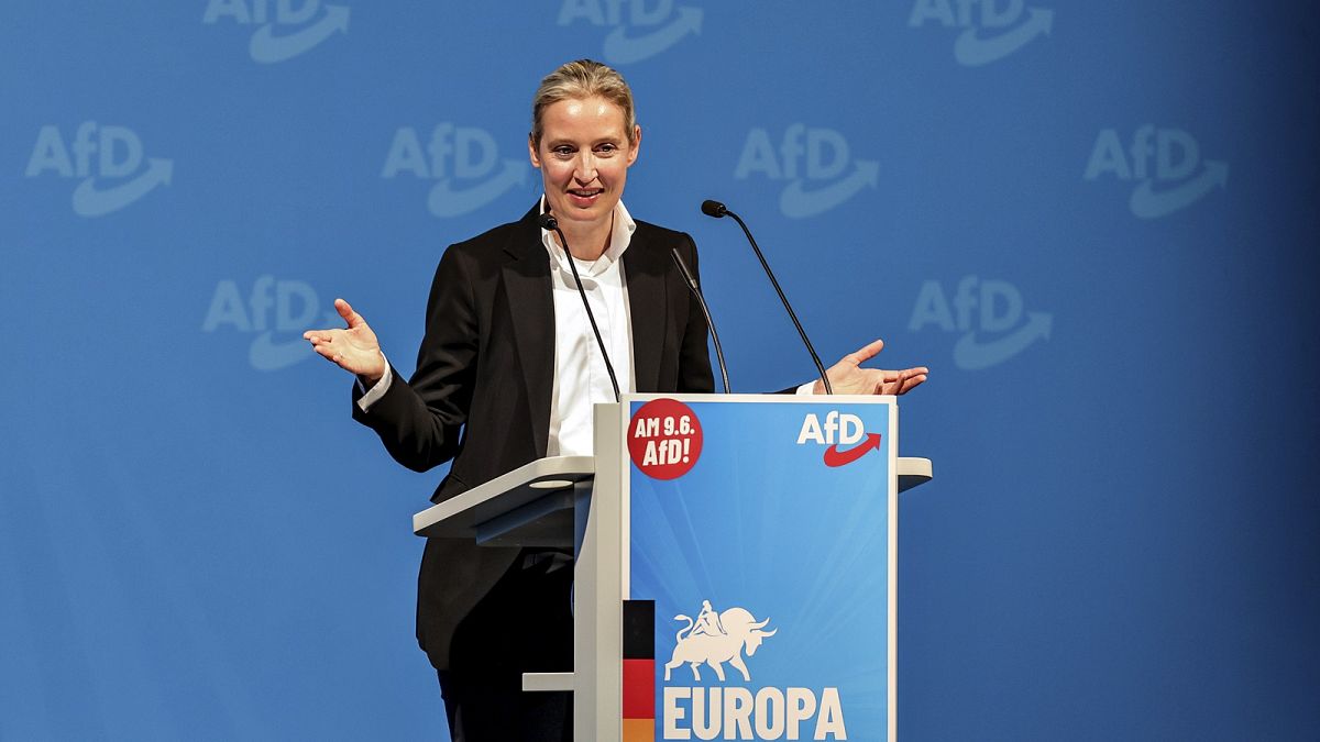 AfD and allies form new far-right group in Brussels called Europe of Sovereign Nations 