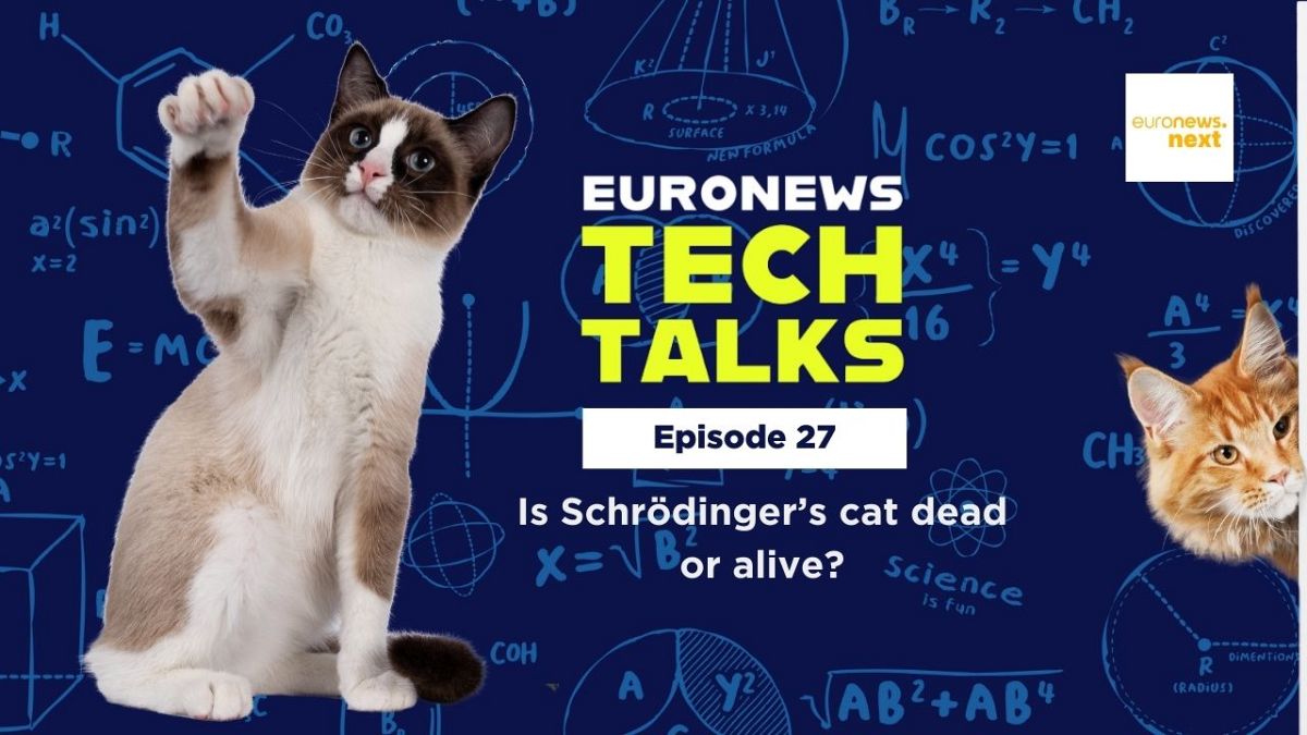 Is Schrödinger’s cat dead or alive, and other questions about quantum Tech Talks