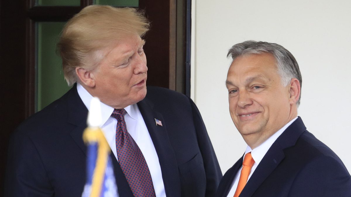 EU leaders seek to distance themselves from Orb&aacute;n's meeting with Trump 