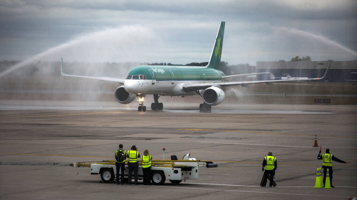 Aer Lingus pilots urged to accept pay deal as industrial action halted 