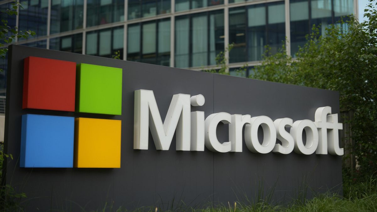 What security lessons can the EU learn from the massive IT outage? 