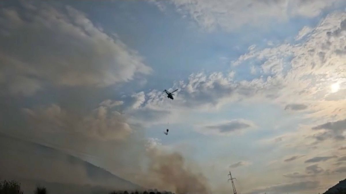 Албания: на юге страны идет борьба с лесными пожарами  