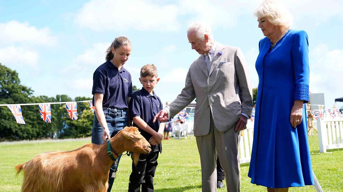 King Charles III bestows royal title on at-risk goats