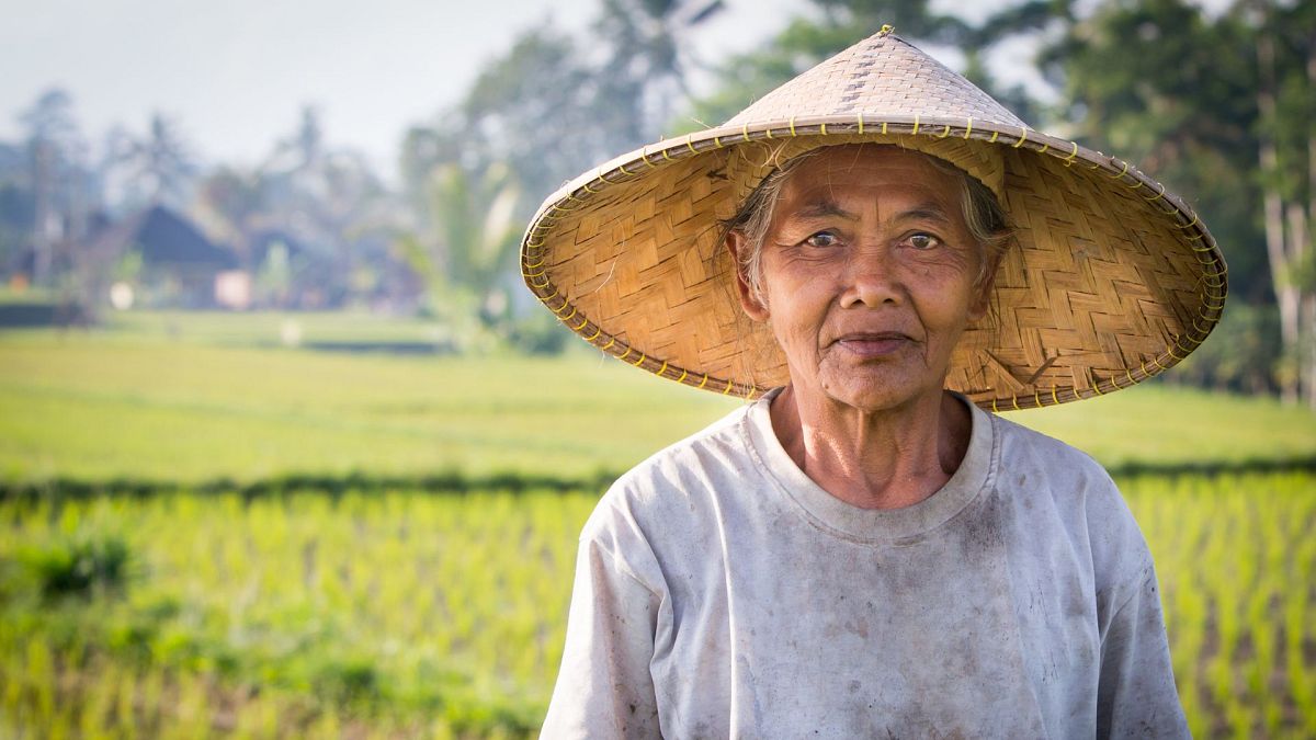 Rice is a silent source of methane emissions: Meet the startup helping farmers tackle the problem 
